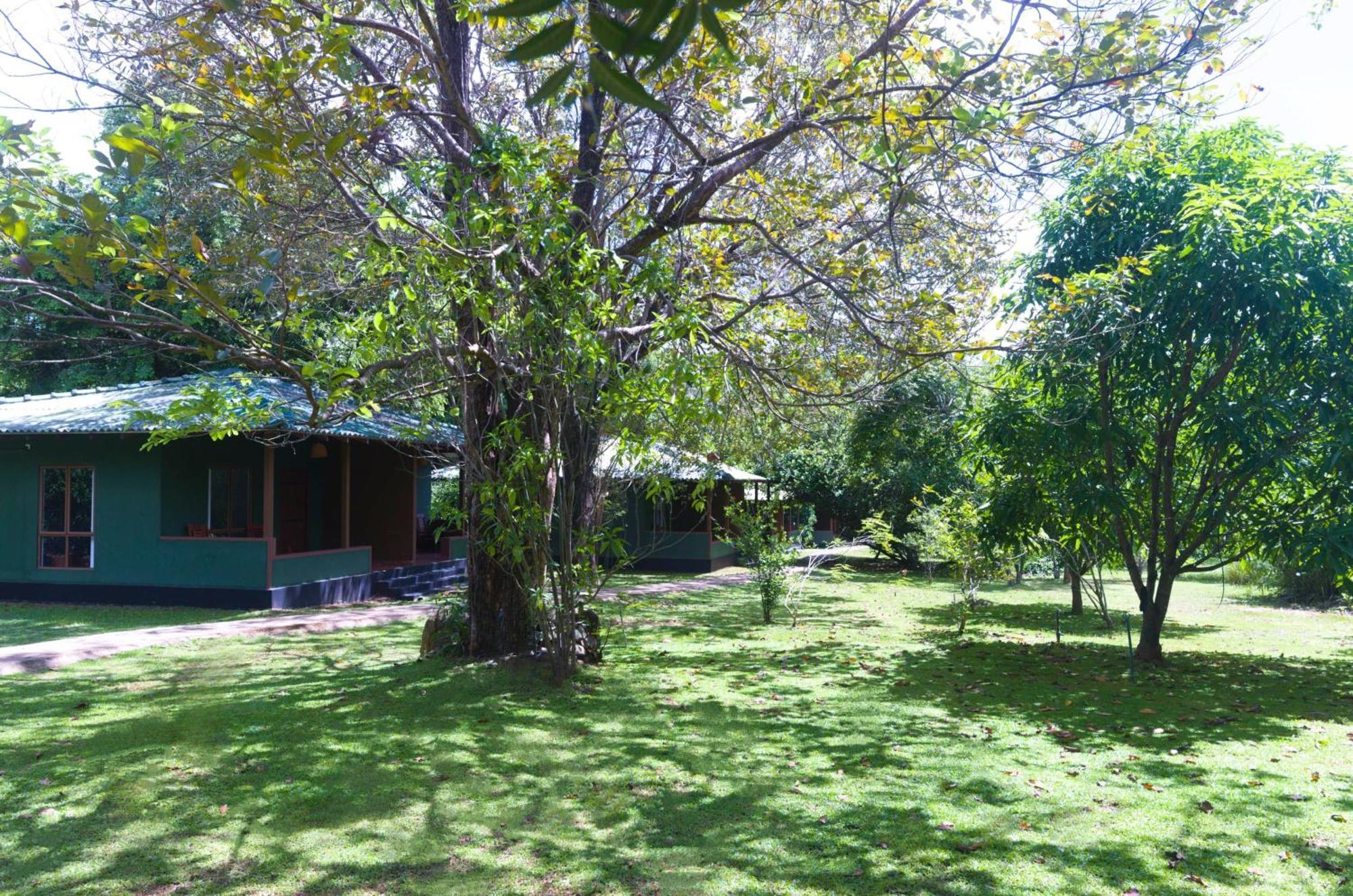 Pinthaliya Resort Sigiriya Eksteriør bilde