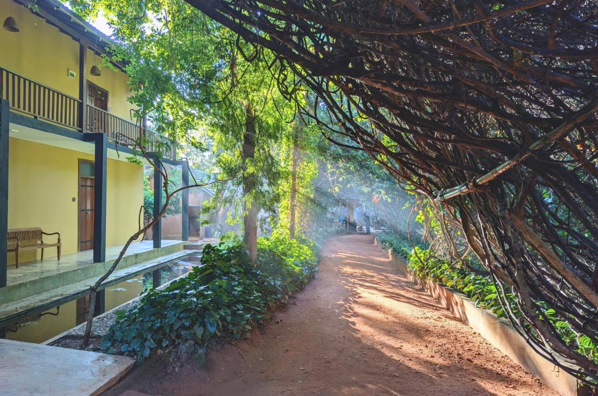 Pinthaliya Resort Sigiriya Eksteriør bilde