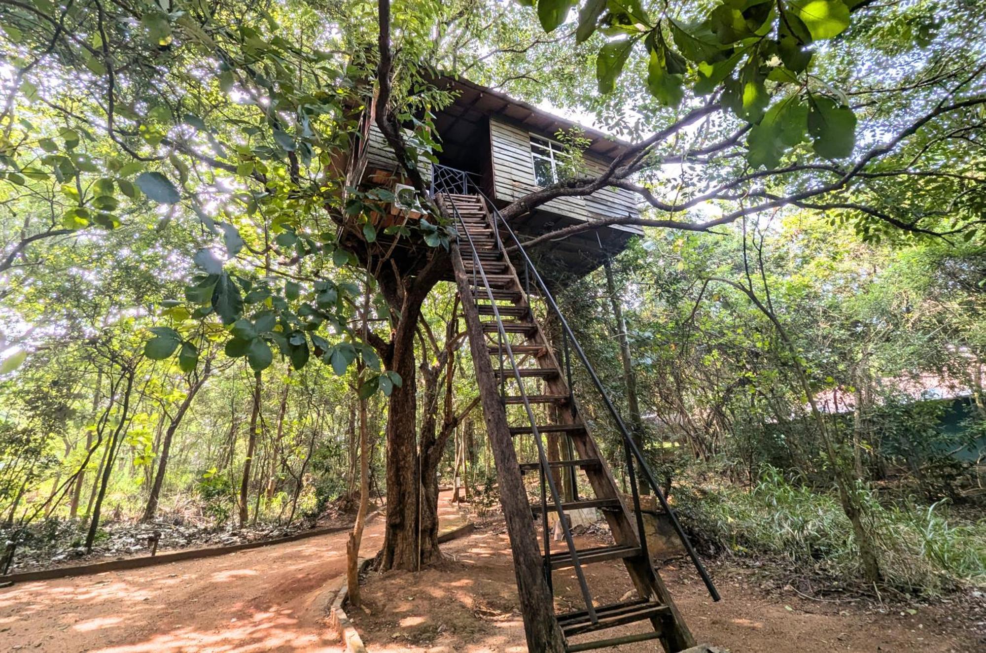 Pinthaliya Resort Sigiriya Eksteriør bilde
